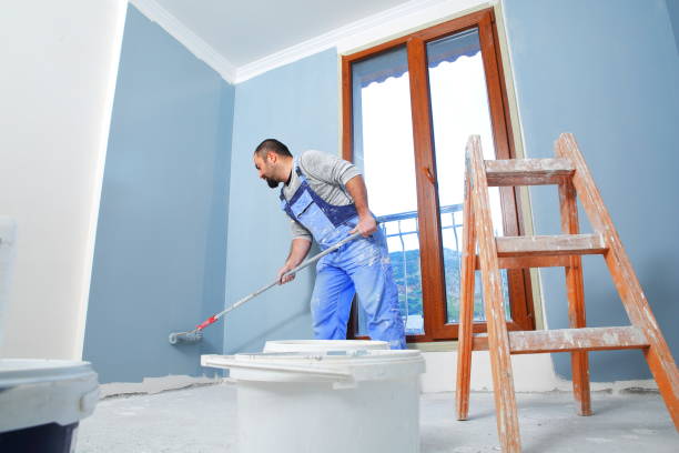 Best Mold Damage Restoration  in Loughman, FL