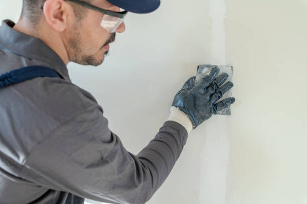 Best Black Mold Removal  in Loughman, FL