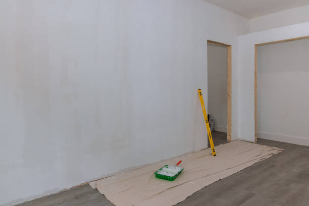 Reliable Loughman, FL Mold Removal Solutions