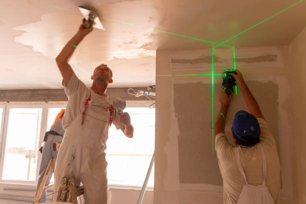 Best Basement Mold Removal  in Loughman, FL