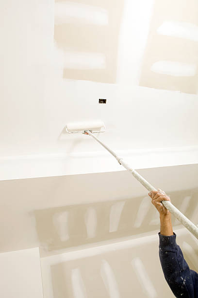 Best Dehumidification Services  in Loughman, FL