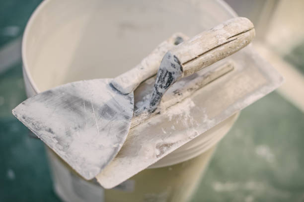 Best Environmental Consulting for Mold Prevention  in Loughman, FL