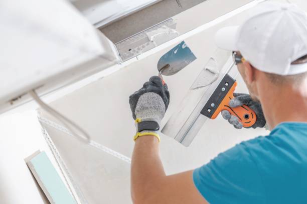 Best Biohazard Mold Removal  in Loughman, FL